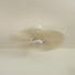Lotus | Ventilateur de plafond