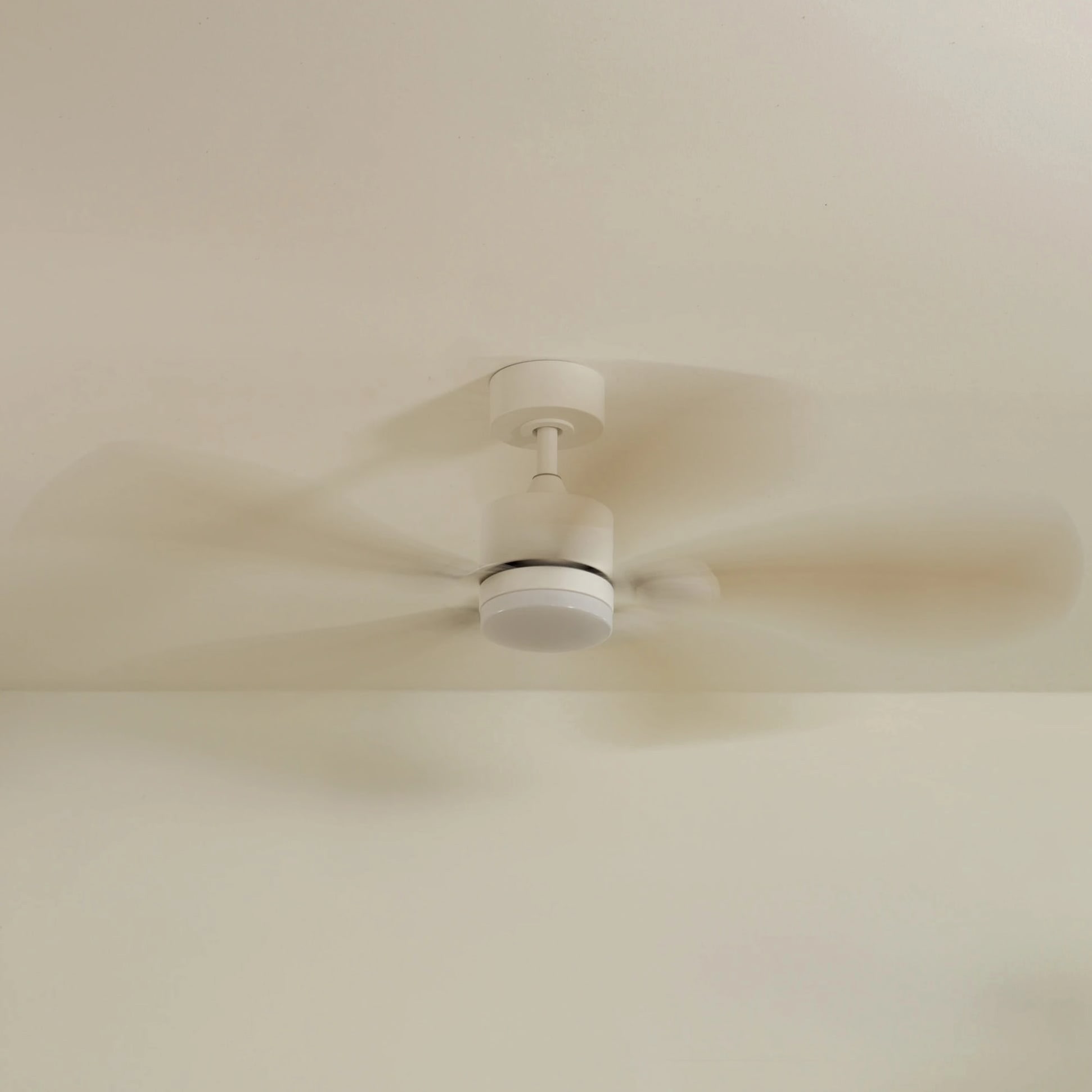 Libellule | Ventilateur de plafond