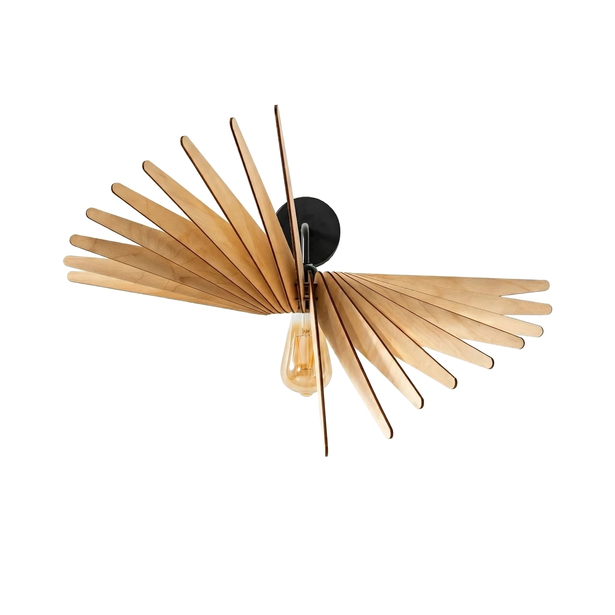Albatros teinté Chêne | Applique