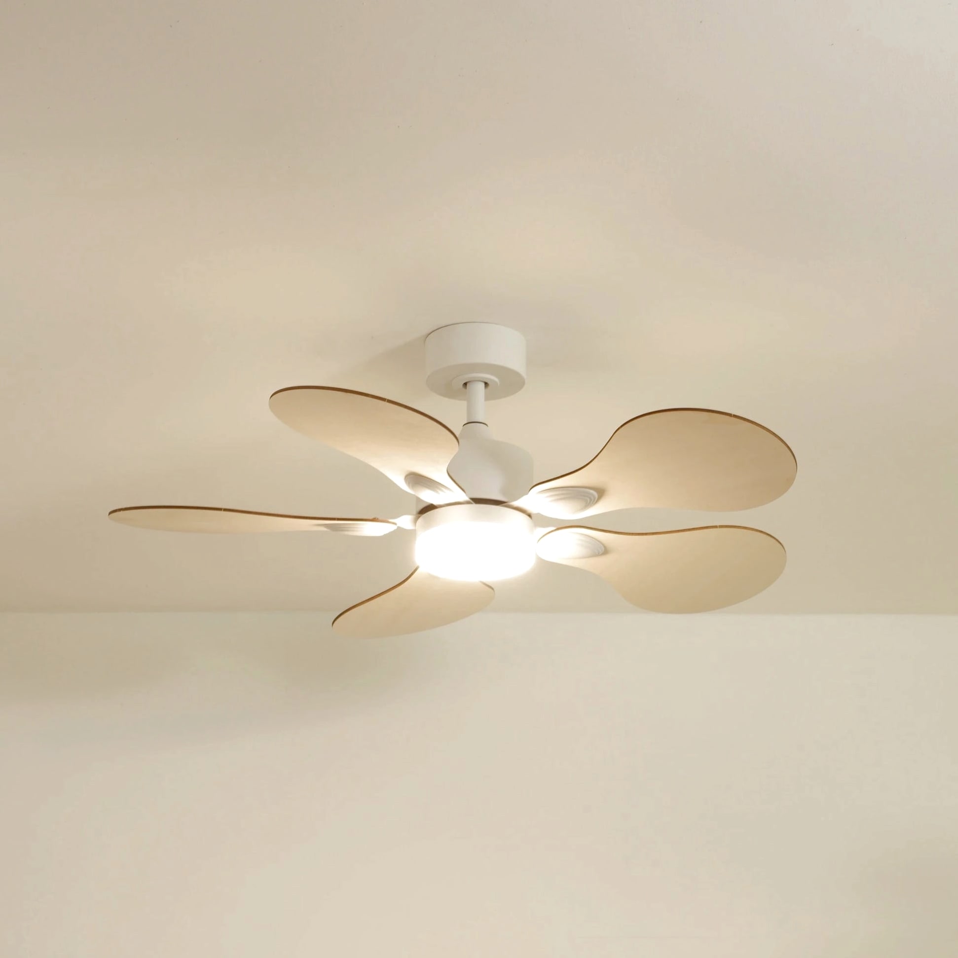 Anémone | Ventilateur de plafond