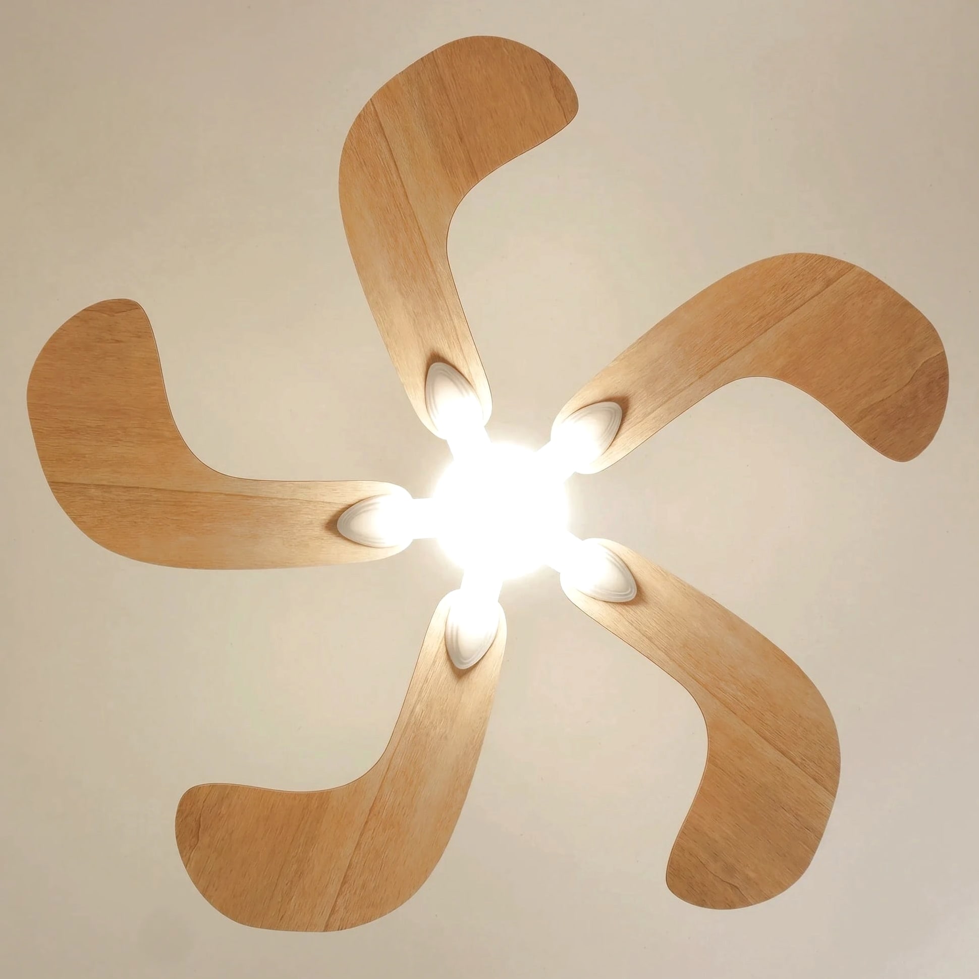 Colibri teinté Chêne | Ventilateur de plafond