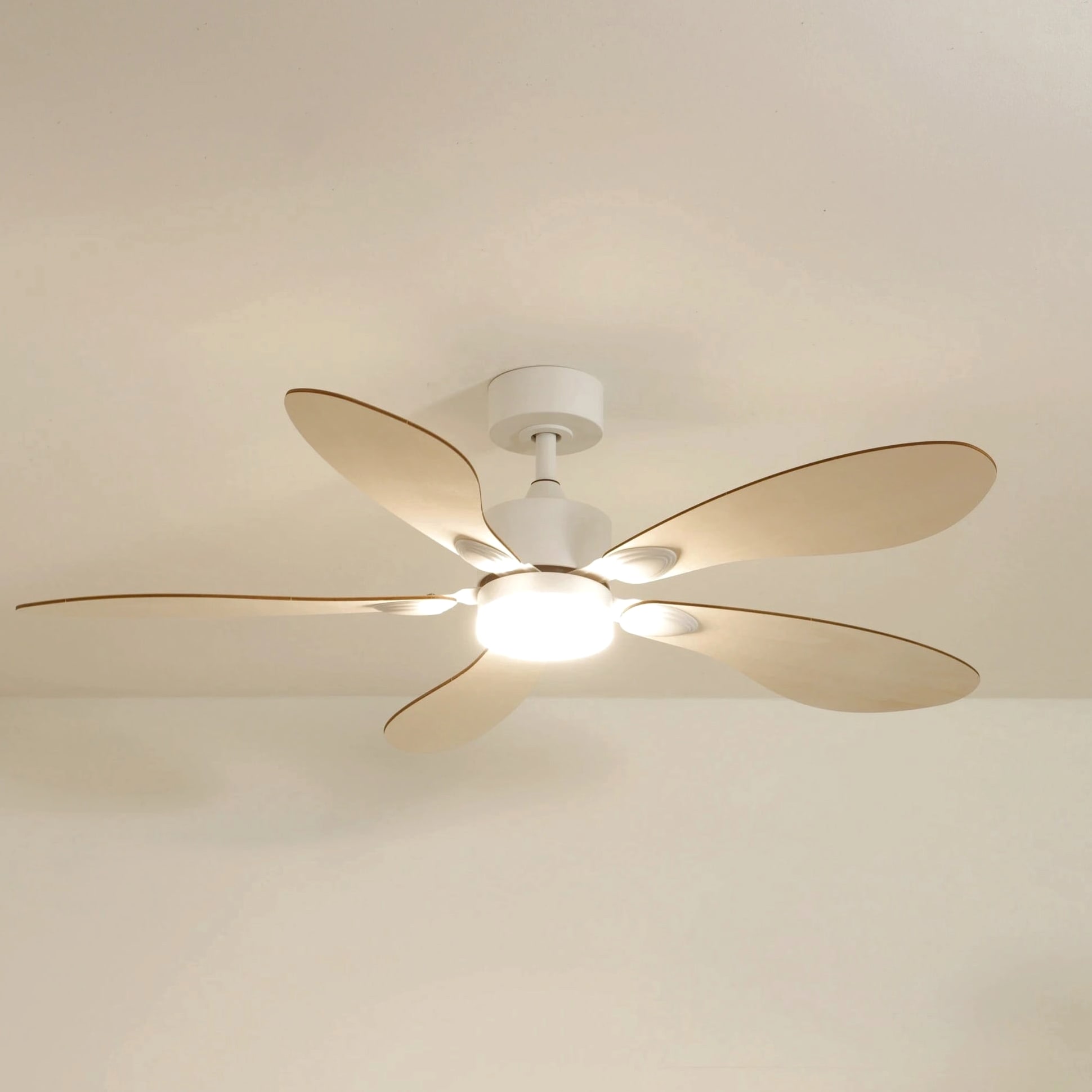 Libellule | Ventilateur de plafond