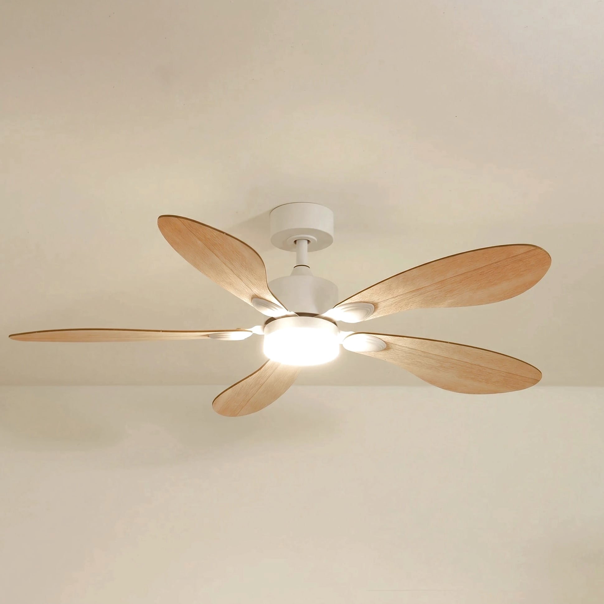 Libellule teinté Chêne | Ventilateur de plafond