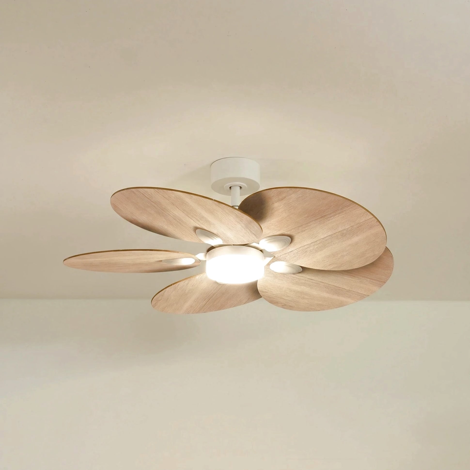 Lotus teinté Chêne | Ventilateur de plafond