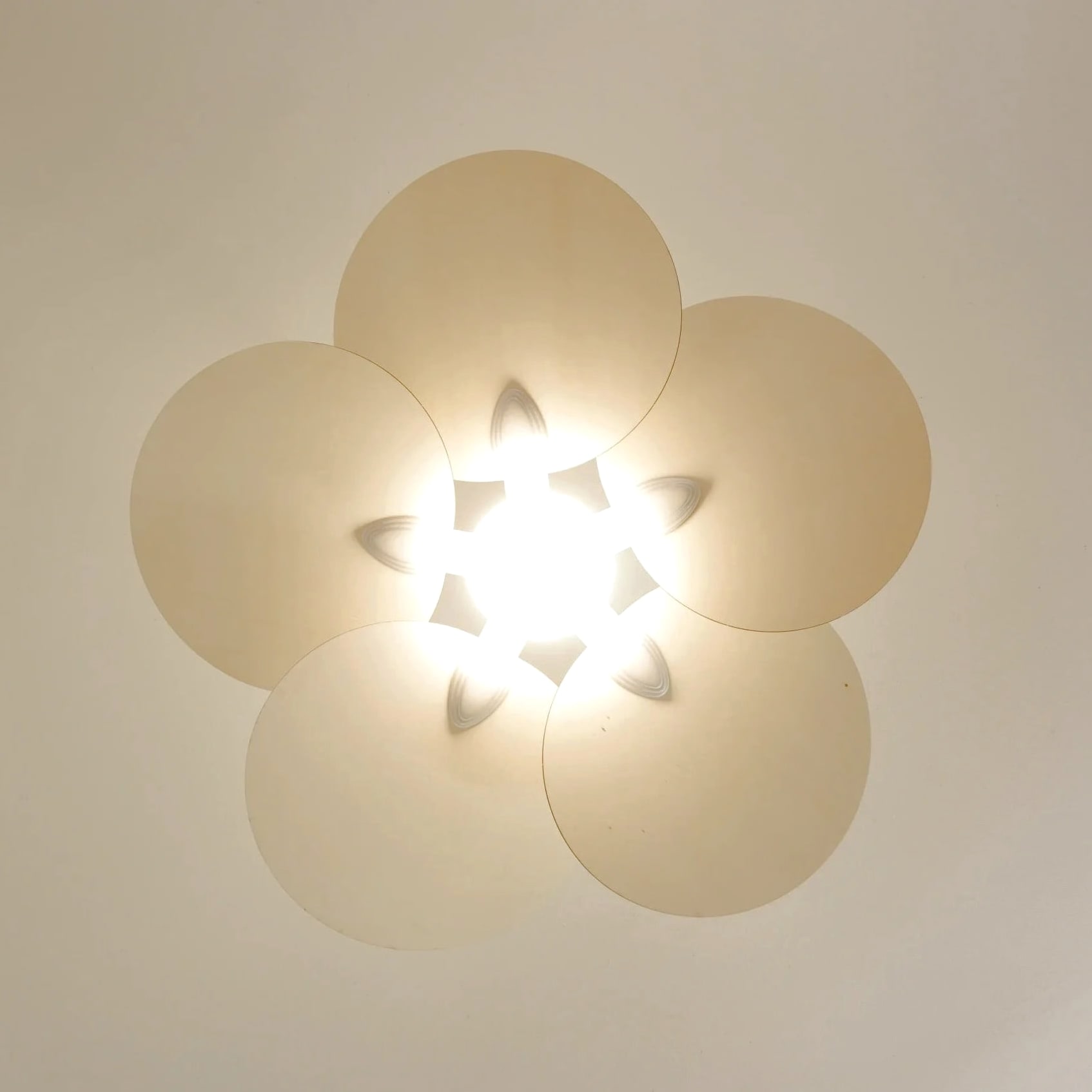 Lotus | Ventilateur de plafond