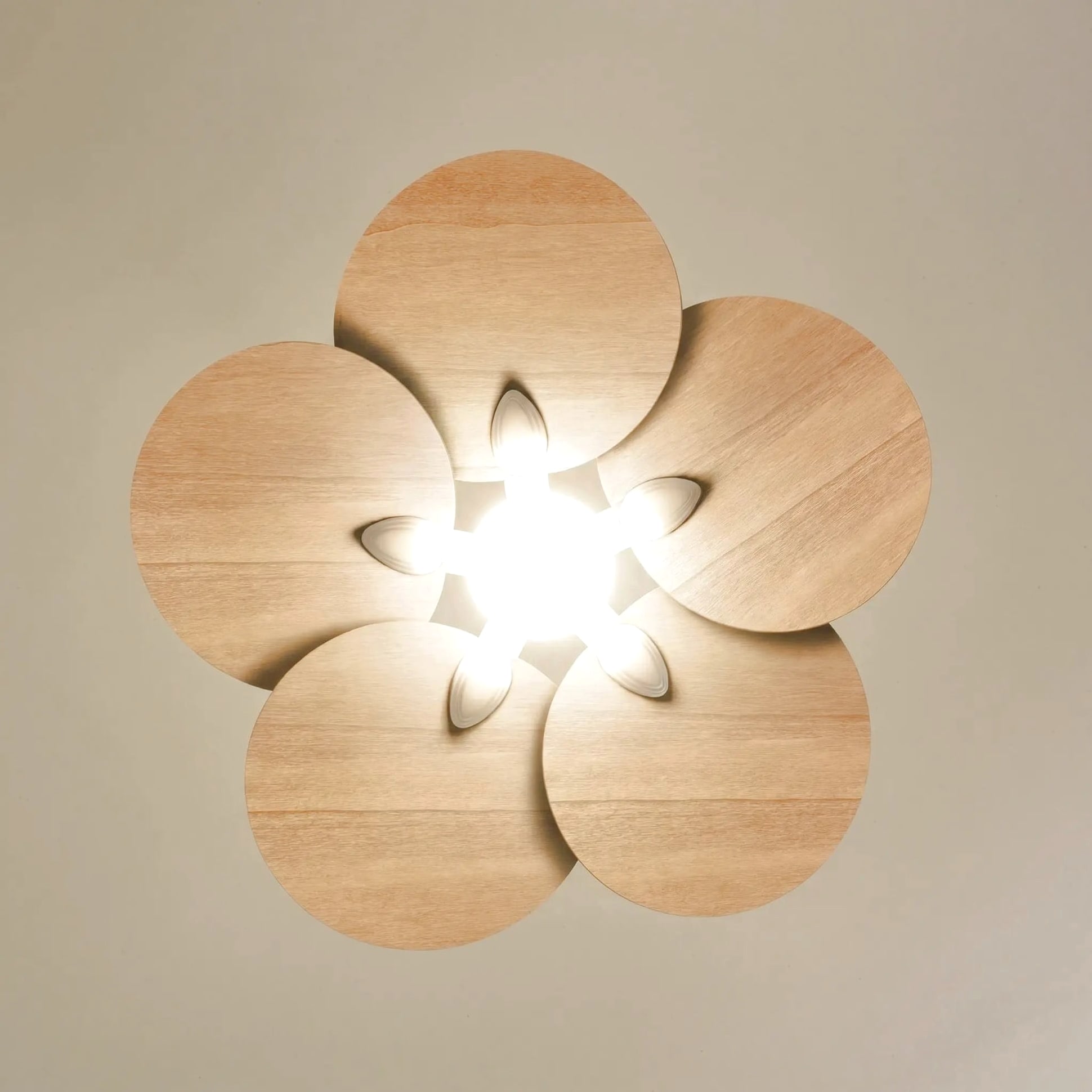 Lotus teinté Chêne | Ventilateur de plafond