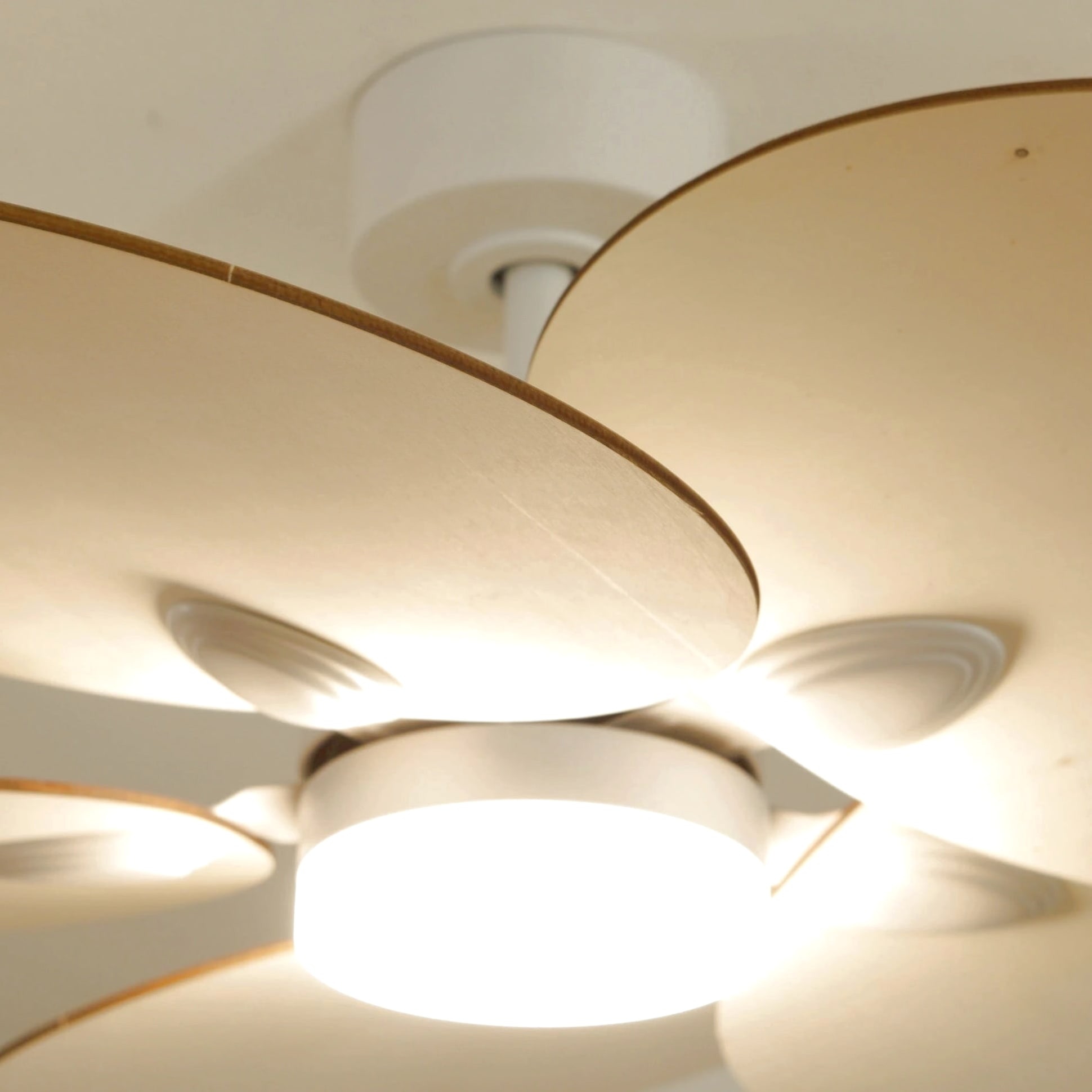 Lotus | Ventilateur de plafond