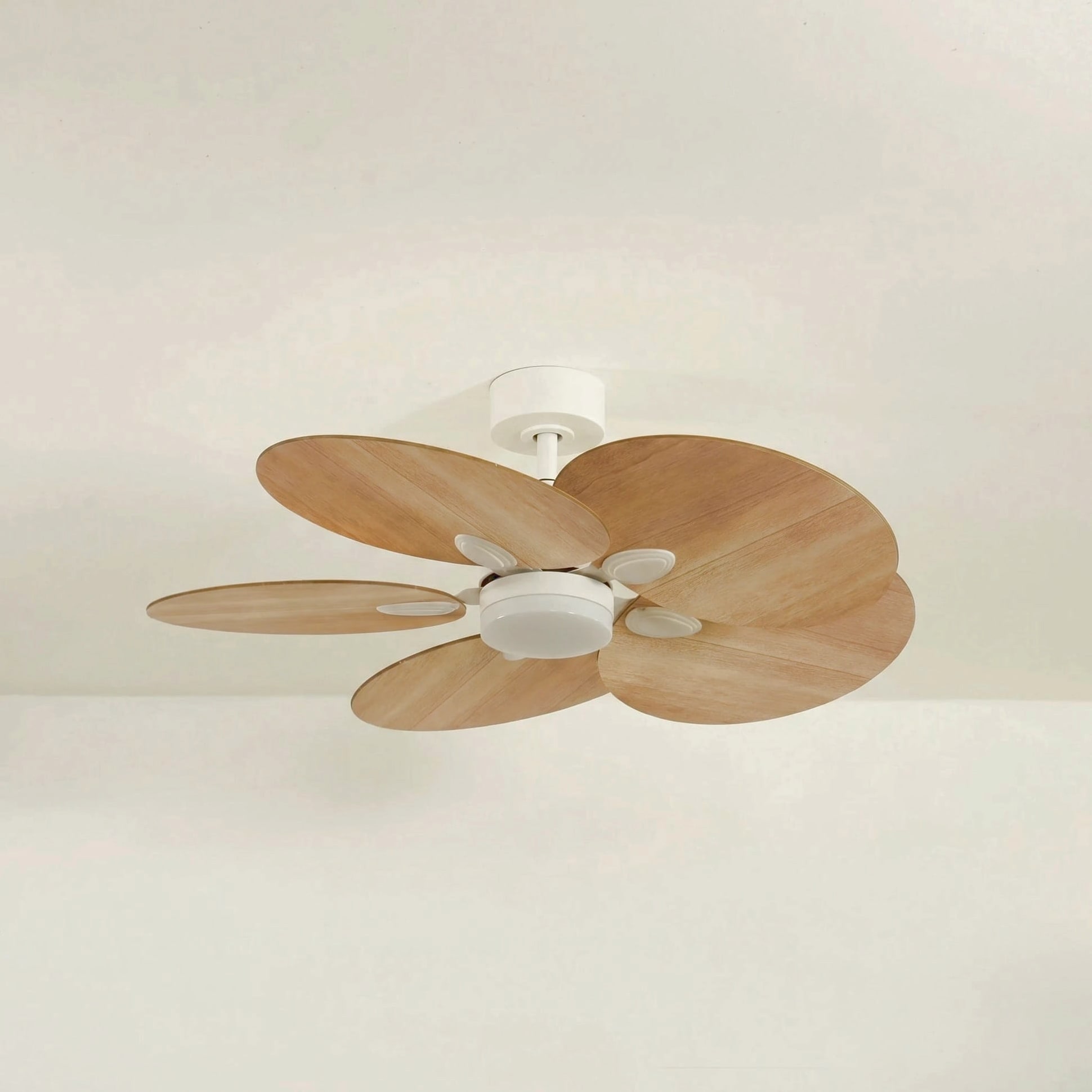 Lotus teinté Chêne | Ventilateur de plafond