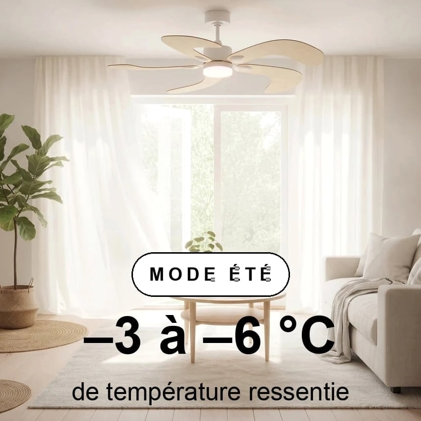 colibri scene ete