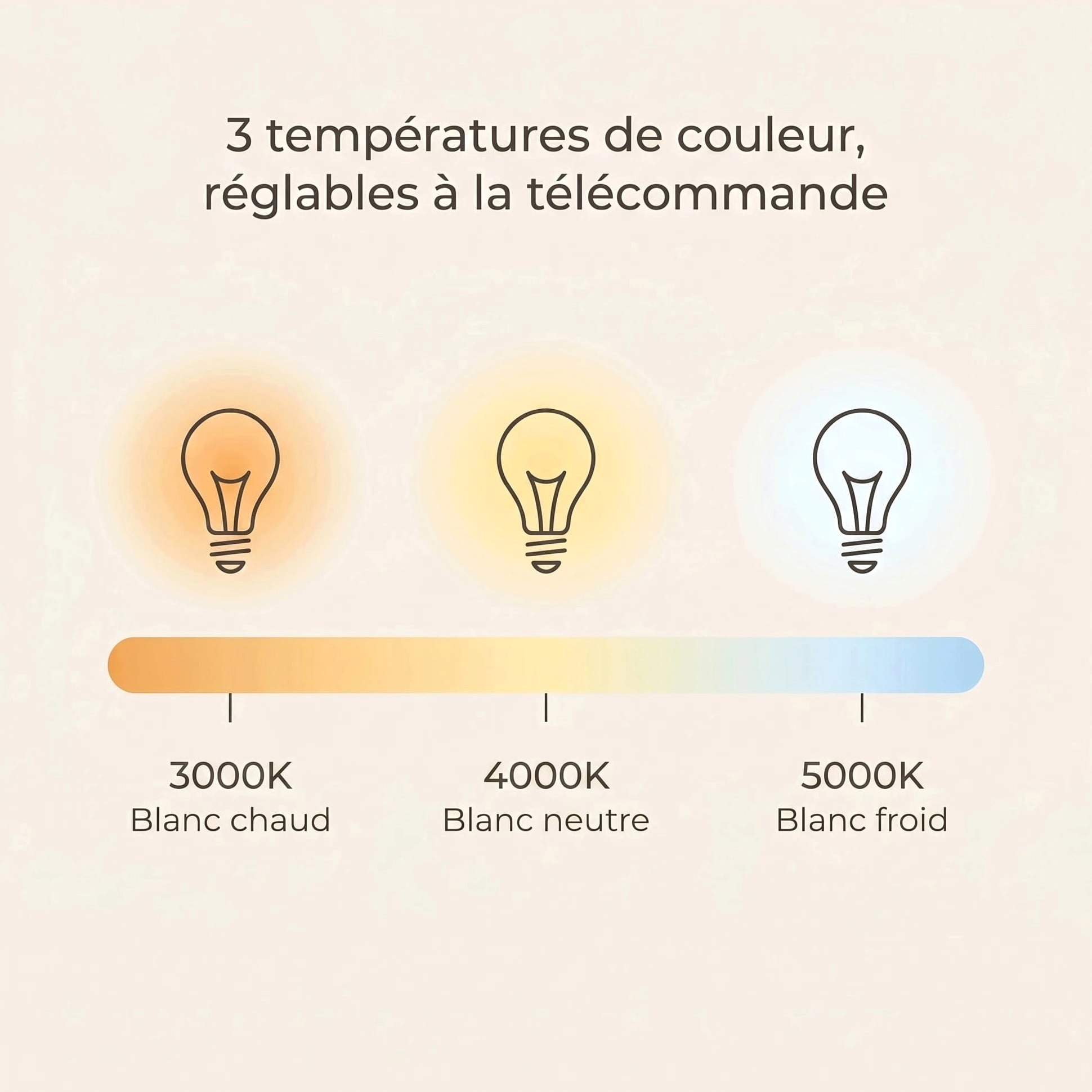 Libellule teinté Chêne | Ventilateur de plafond