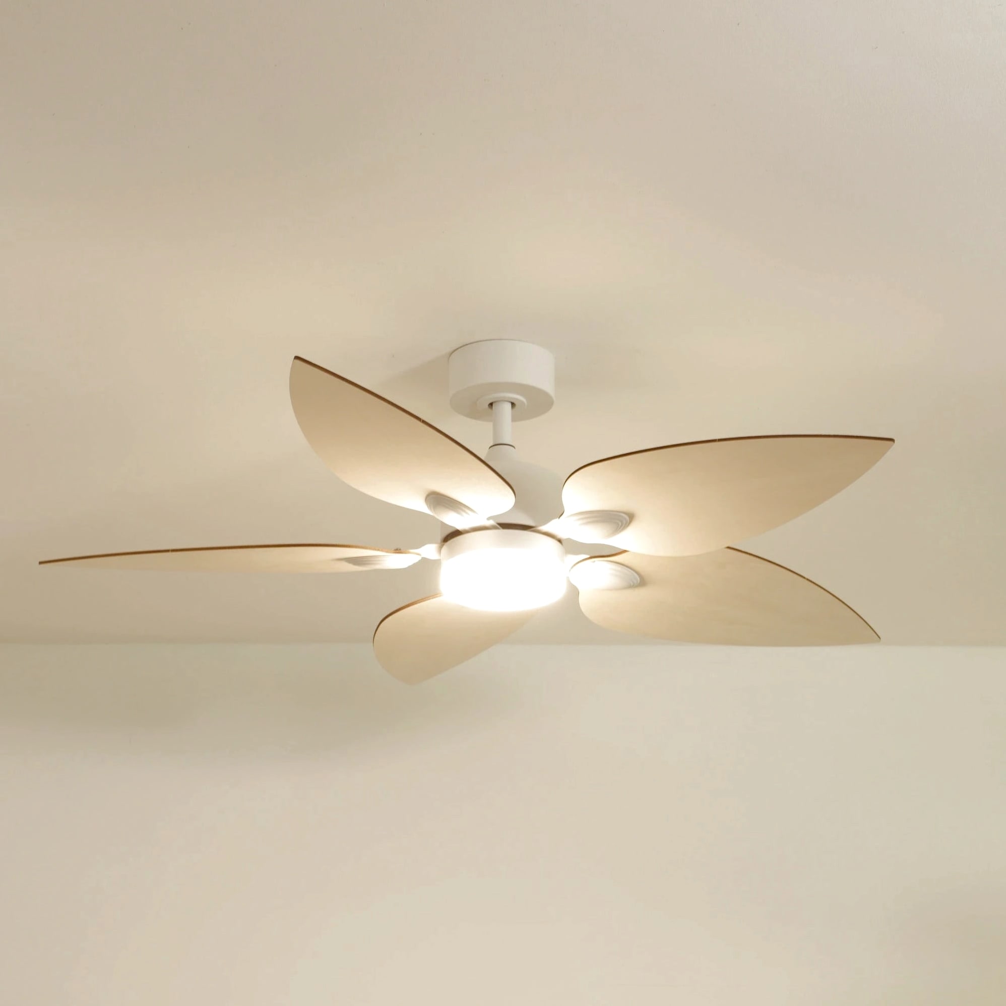 Virevole | Ventilateur de plafond