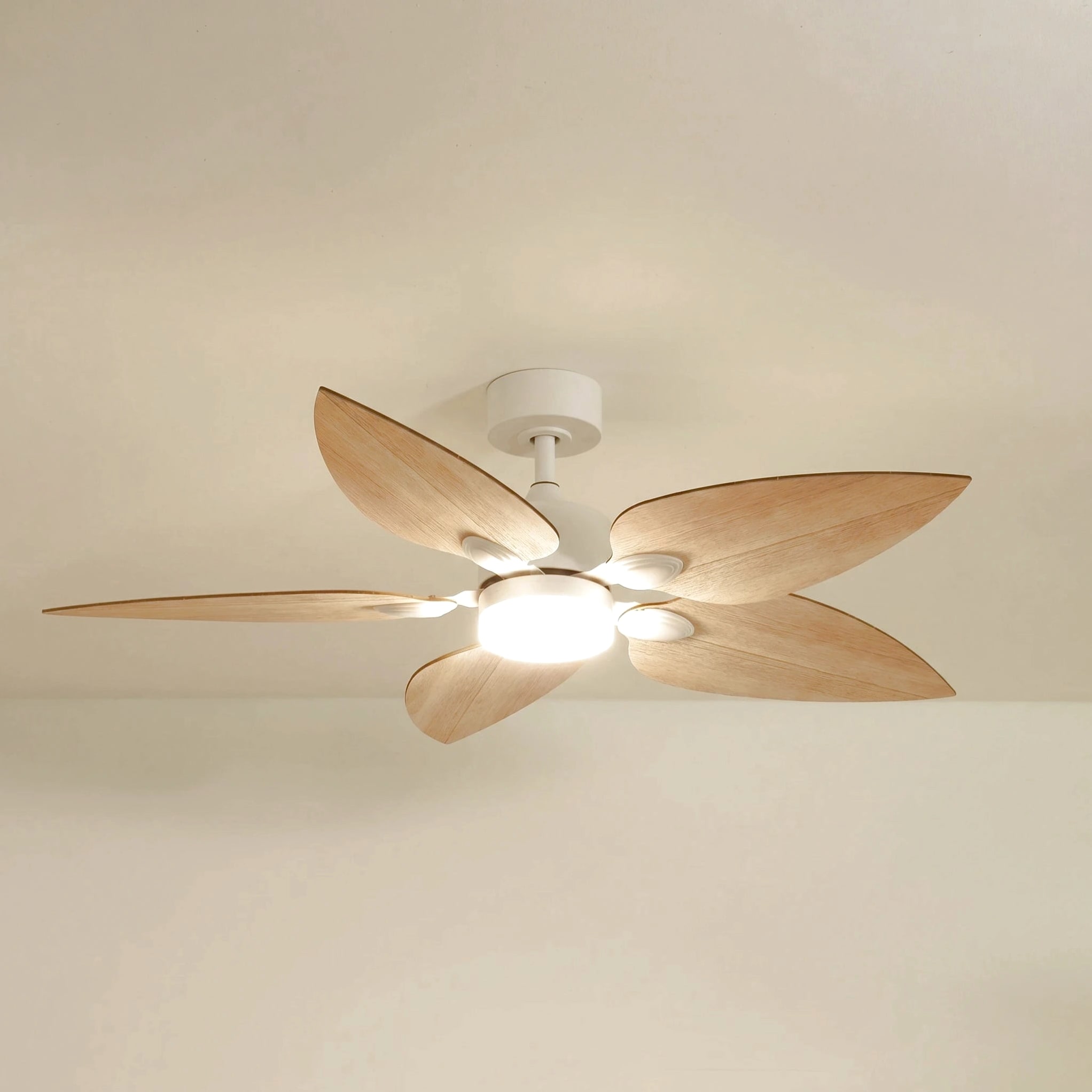 Virevole teinté Chêne | Ventilateur de plafond